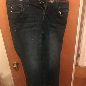 Lane Bryant Flare Jeans